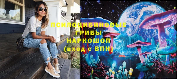 хмурый Алексеевка