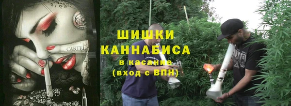 дживик Абинск